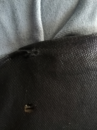 Стул Kora голубой фото покупателя 17